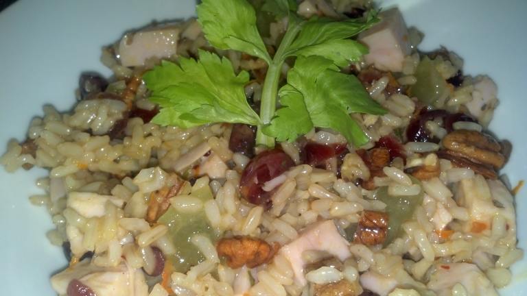 Harvest Turkey, Cranberry and Brown Rice Salad created by claudiansatx