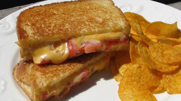 Grilled Cheese & Tomato Sandwich Created by lazyme