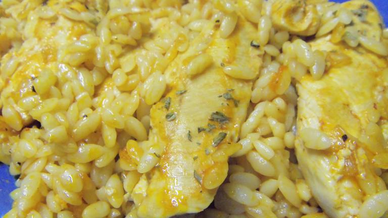 Greek Chicken and Orzo - Kota Manestra Created by alligirl