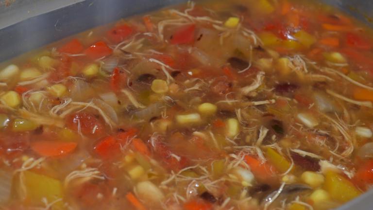 Crock Pot Chicken and Black Bean Soup Recipe - Food.com