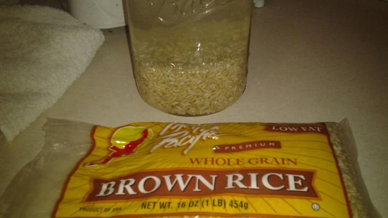 How to Sprout Brown Rice Created by rosie316