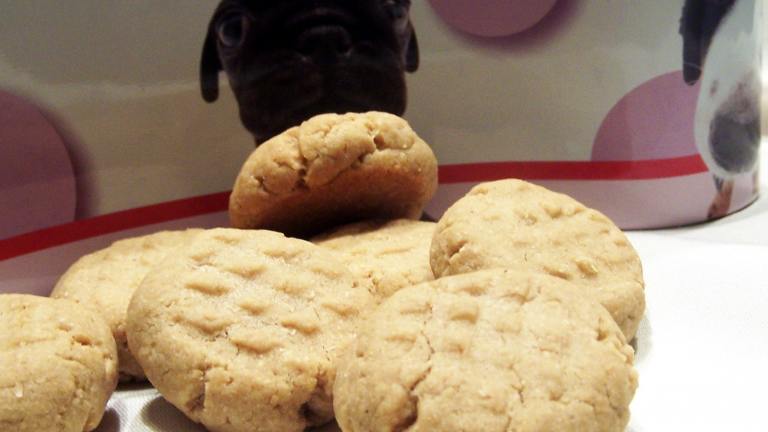 Peanut Butter Doggie Cookies created by PaulaG