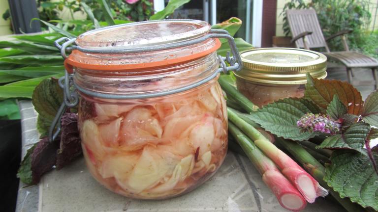 Pickled Ginger Created by Rita1652