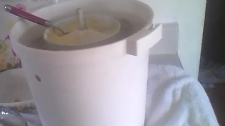 Homemade Ice Cream - No-Cook Version created by sweettooth54