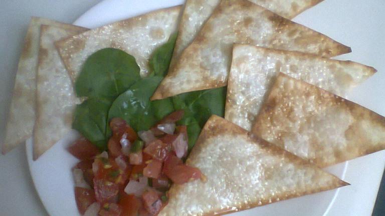 Low-Fat (Wonton Egg Roll Gyoza) Chips With Salsa created by anafalteisek