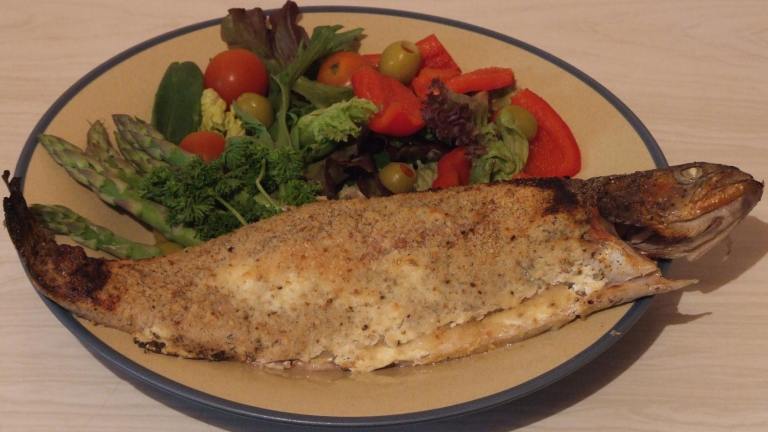 Trout in Cream Sauce Created by Peter J