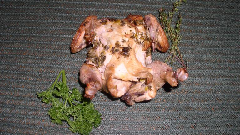 Roasted, Herbed Baby Chickens Created by -Sheri-
