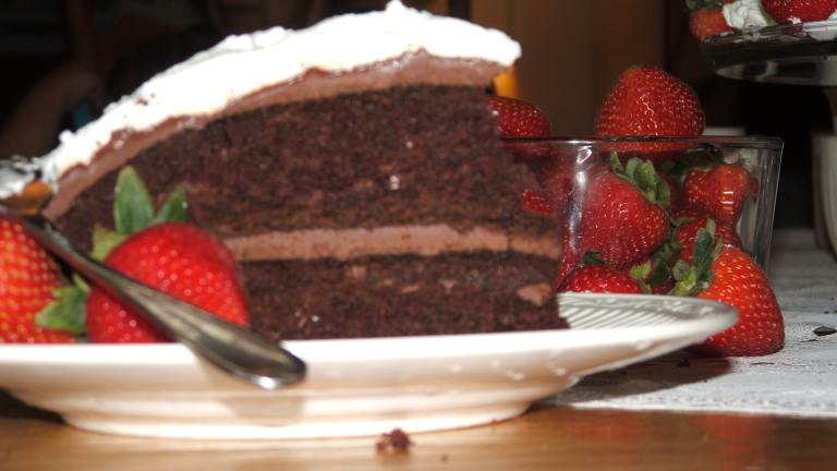 Anne of Green Gables Chocolate Goblin's Food Cake Created by Antifreesz