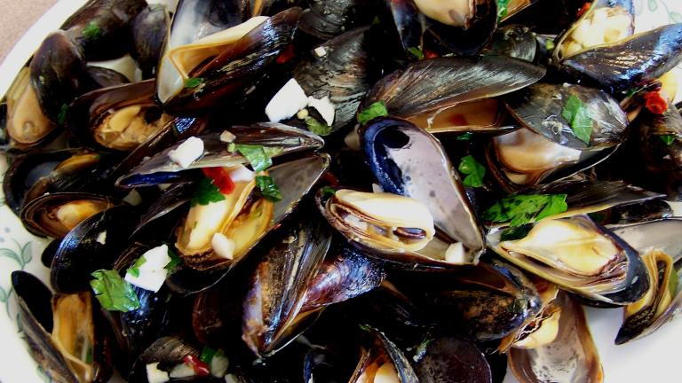 Steamed Garlic and Herb Mussels Created by Rita1652
