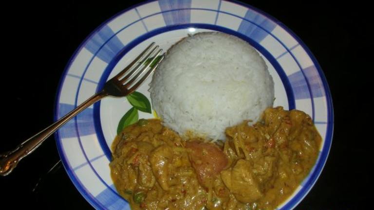Malaysian Chicken Curry Created by hippeastrum