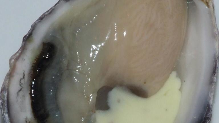 Fire and Ice Oysters with Horseradish Sauce created by Peter J
