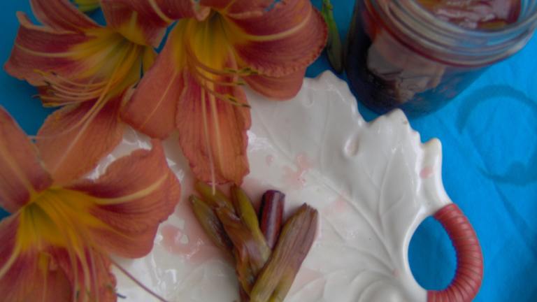 Daylilly Buds, Spiced and Pickled created by Sharon123