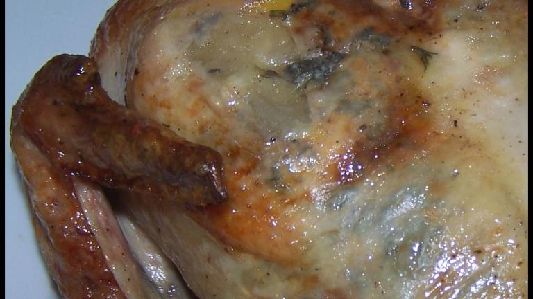 Herb Roasted Chicken created by kzbhansen