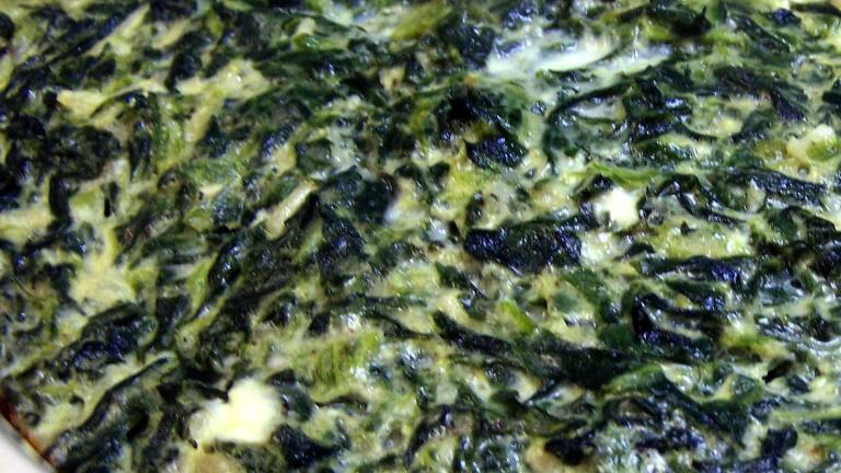 Spinach Squares Created by PaulaG