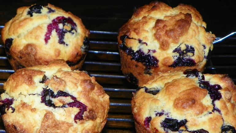 Blueberry Corn Muffins created by Baby Kato