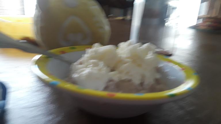 Instant Homemade Ice Cream Created by Caitie R.