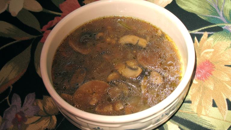 Dilled Mushroom Soup Created by AcadiaTwo