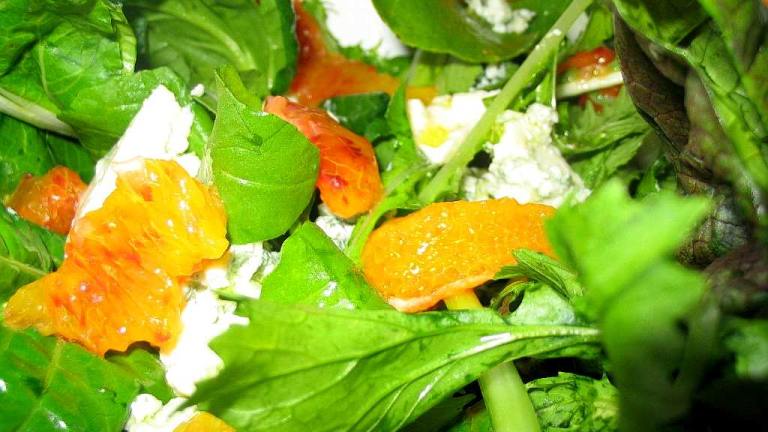 Arugula, Blood Orange and Bleu Cheese Salad Created by Missy Wombat