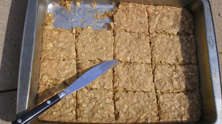Oatmeal Squares Created by melting pot