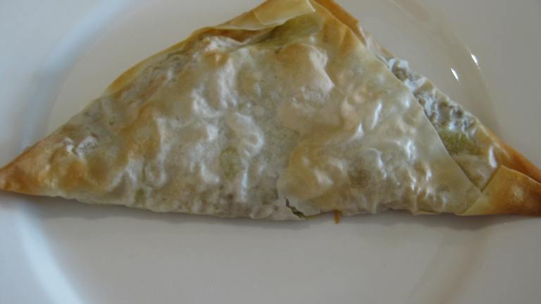 Beef Samosa created by lil_miss_SBC