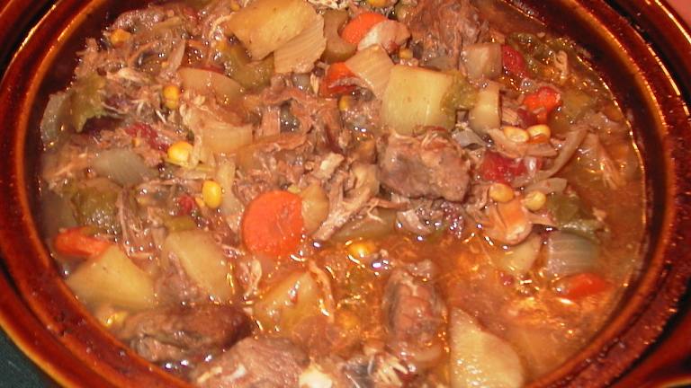Hearty Winter Stew Created by PaulaG