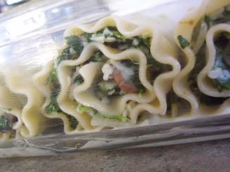 Spinach and Mushroom Lasagna Roll Ups