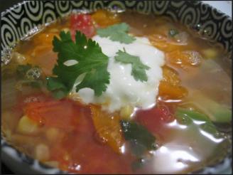 Chipotle Mexican Grill Chicken Tortilla Soup