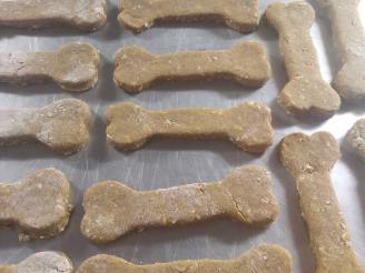 Pumpkin Dog Cookies