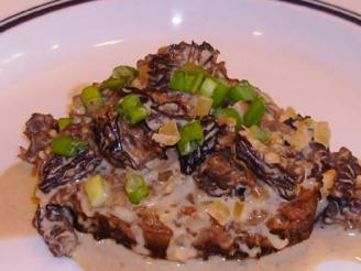 Veal Medallions With French Morels