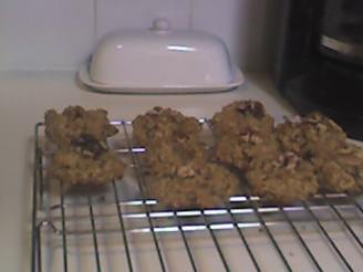 Healthy but Tasty Chocolate Chip Oatmeal Cookies