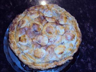 Martha Stewart's Pate Brisee -- Basic Pie Crust
