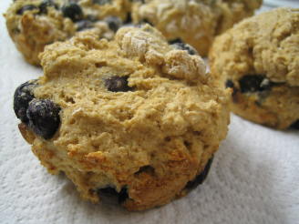 Fat Free, Sugar-Free Whole Wheat Blueberry Muffins