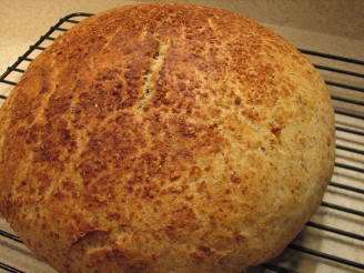 No Knead Sourdough Flax Seed Bread