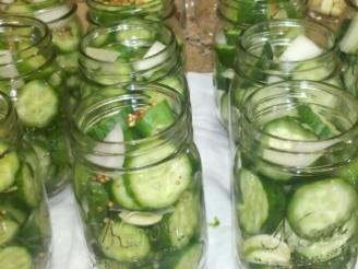 Small-Batch Refrigerator Dill Pickles