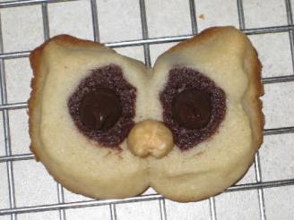 Hoot Owl Cookies