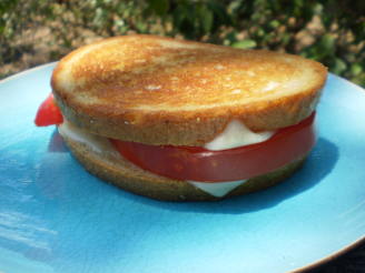 Grilled Swiss & Tomato on Rye