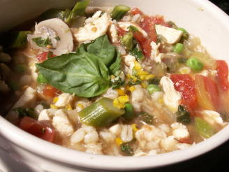 Slow Cooker Chicken Barley Soup Recipe - Food.com