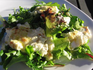 Spanish Tapas - Grilled Goat's Cheese on Bed of Lettuce