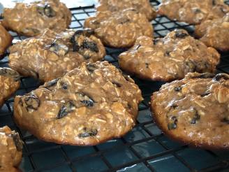 Gluten-Free Oatmeal Protein Cookies