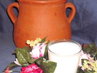 Make Your Own Laben (Buttermilk) - the Traditional Way!