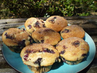 Fresh Blueberry Sour Cream Muffins