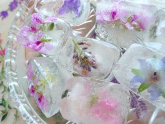 Fresh Flower/Herb Blossom Ice Cubes for Summertime Entertaining