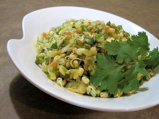Sprouted Mung Bean Salad (Moong Salaad)