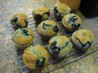 Sugar-Free Blueberry Muffins Recipe - Food.com