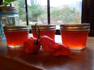 Ghost Pepper Jelly!