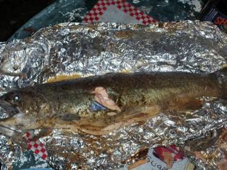 Campfire Whole Rainbow Trout