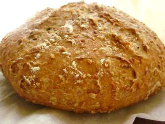 Whole Wheat No-Knead Bread With Flax Seeds and Oats