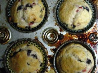 Corn 'n Blueberry Muffins