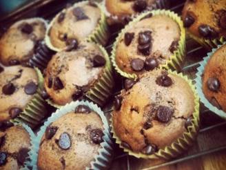 Awesome Chocolate Chocolate Chip Muffins