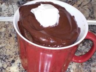 Quick Low Carb Chocolate Pudding Cake in a Microwave Mug